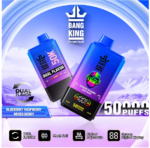 bang-king-50000-dual-flavor-vape-europe.jpg