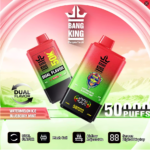 Watermelon-Ice-Blueberry-Mint-Bang-King-50000-50K-Puffs-Dual-Flavor-Disposable-Vape