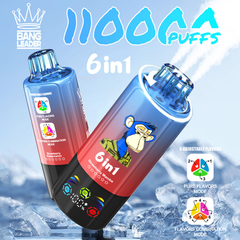 Bang Leader 110000 Puffs 6 in 1 flavor switch vape