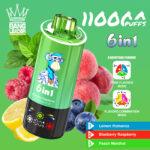 Bang Leader 110000 110K Puffs Disposable Vape Wholesale Europe
