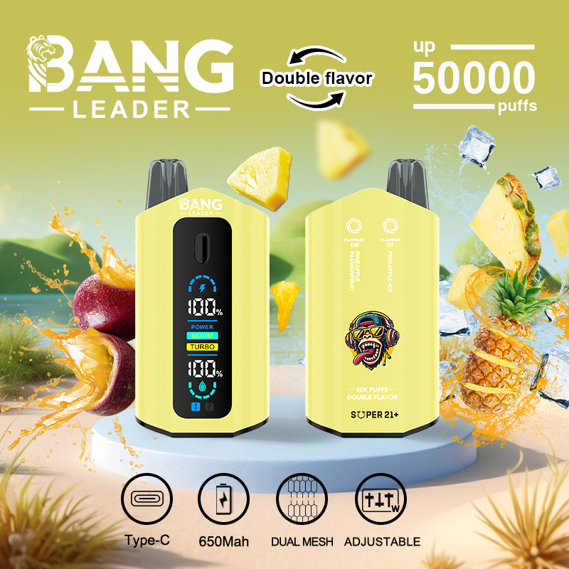 Bang Leader 50K Puffs 50000 Puffs Disposable Vape Wholesale Germany