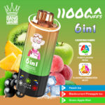Bang Leader 110000 110K Puffs Disposable Vape Wholesale Europe