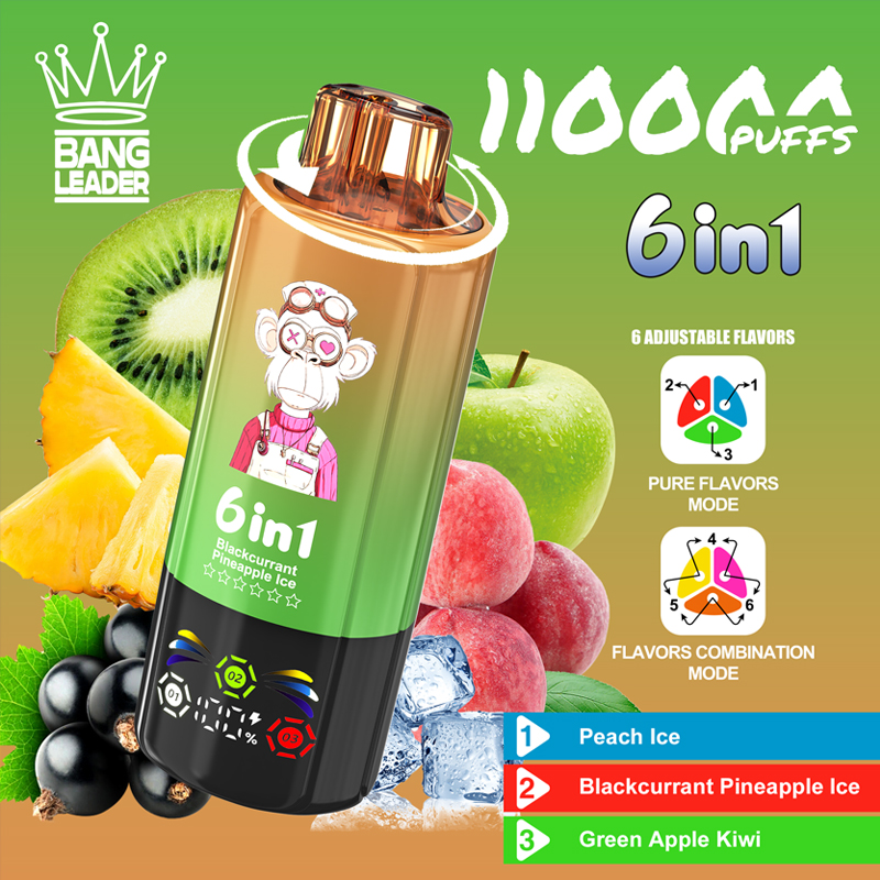 Bang Leader 110000 110K Puffs Disposable Vape Wholesale Europe