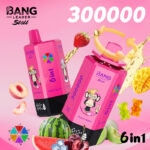 Bang Leader Stoll 300K Puffs 6 in 1 Flavors Vaper European Warehouses