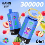 Bang Leader Stoll 300K Puffs 6 in 1 Flavors Disposable Vaper European Warehouses