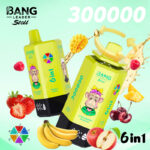 Bang Leader Stoll 300K Puffs 6 in 1 Flavors Vaping European Warehouses