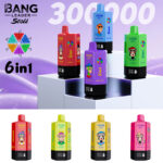 Bang Leader Stoll 300K Puffs 6 in 1 Flavors Vape Wholesale