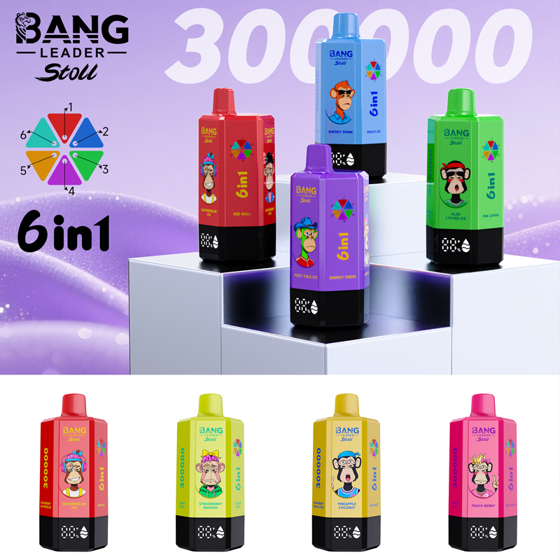 Bang Leader Stoll 300K Puffs 6 in 1 Flavors Vape Wholesale