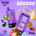 Bang Leader Stoll 300K Puffs 6 in 1 Flavors Vaping European Warehouses