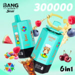 Bang Leader Stoll 300K Puffs 6 in 1 Flavors Vaping European Warehouses