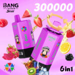 Bang Leader Stoll 300000 Puffs 6 in 1 Flavors Disposable Vapes European Warehouses