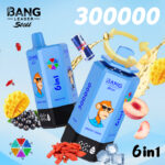 Bang Leader Stoll 300000 Puffs 6 in 1 Flavors Disposable Vaping European Warehouses