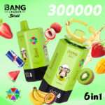 Bang Leader Stoll 300000 Puffs 6 in 1 Flavors Disposable Vaping European Warehouses