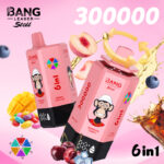 Bang Leader Stoll 300000 Puffs 6 in 1 Flavors Disposable Vaper European Warehouses