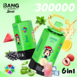 Bang Leader Stoll 300K Puffs 6 in 1 Flavors Vapes European Warehouses