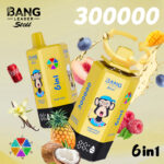 Bang Leader Stoll 300K Puffs 6 in 1 Flavors Vapes European Warehouses