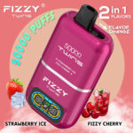 Fizzy Twins 50000 Puffs Dual Flavor Nachhaltige Vape