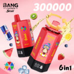 Bang Leader Stoll 300K Puffs 6 in 1 Flavors Vaper European Warehouses