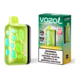 VOZOL RAVE 40000 Puffs Dual MCU Vape Original Authentic EU Warehouse