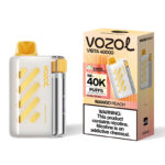 VOZOL Vista 40000 EU warehouse fast shipping