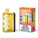 VOZOL RAVE 40000 Puffs Disposable Vape Original Authentic EU Warehouse