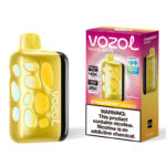 VOZOL RAVE 40000 Puffs Disposable Vape Original Authentic EU Warehouse
