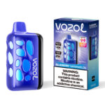 VOZOL RAVE 40000 Puffs Disposable Vape Original Authentic EU Warehouse