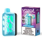 VOZOL RAVE 40000 Puffs Disposable Vape Original Authentic EU Warehouse