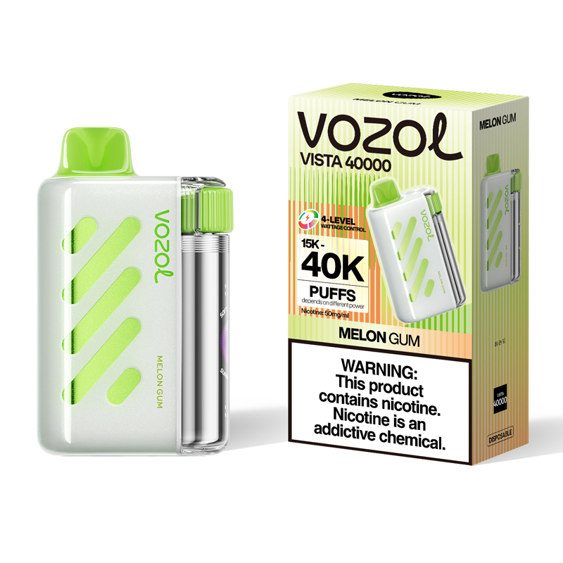 VOZOL Vista 40000 EU warehouse fast shipping